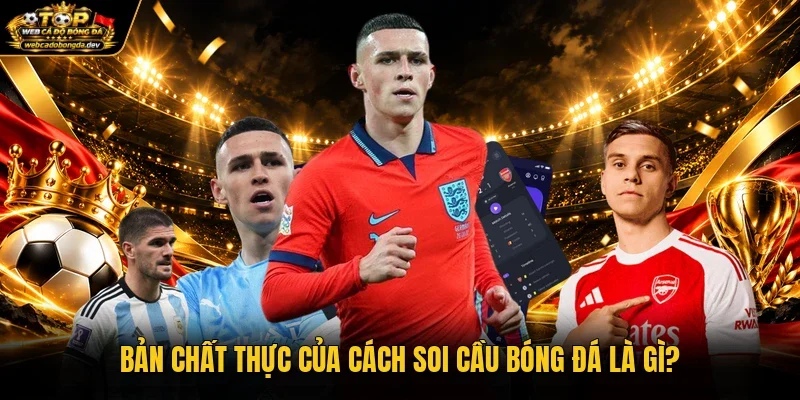 Bản chất thực của cách soi cầu bóng đá là gì?