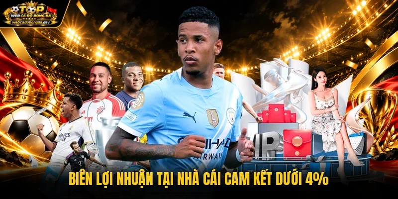 Biên lợi nhuận tại nhà cái cam kết dưới 4% Biên lợi nhuận tại nhà cái cam kết dưới 4%
