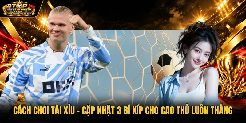 Cách Chơi Tài Xỉu - Cập Nhật 3 Bí Kíp Cho Cao Thủ Luôn Thắng