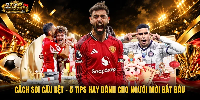 Cách Soi Cầu Bệt - 5 Tips Hay Dành Cho Người Mới Bắt Đầu