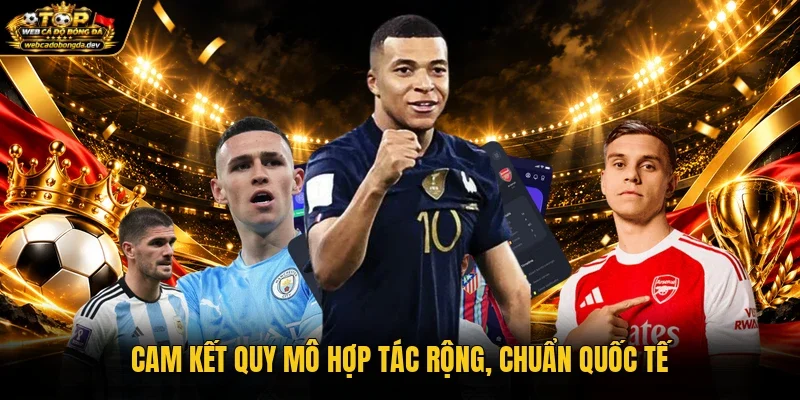 Cam kết quy mô hợp tác rộng, chuẩn quốc tế Cam kết quy mô hợp tác rộng, chuẩn quốc tế