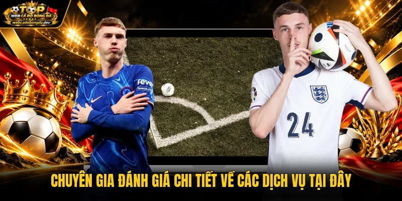 Chuyên gia đánh giá chi tiết về các dịch vụ tại đây