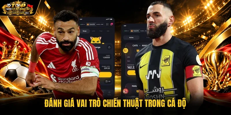 Đánh giá vai trò chiến thuật trong cá độ Đánh giá vai trò chiến thuật trong cá độ