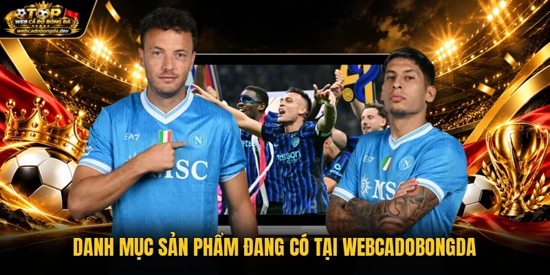 Danh mục sản phẩm đang có tại WEBCADOBONGDA Danh mục sản phẩm đang có tại WEBCADOBONGDA