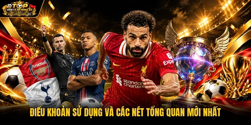 Điều khoản sử dụng và các nét tổng quan mới nhất