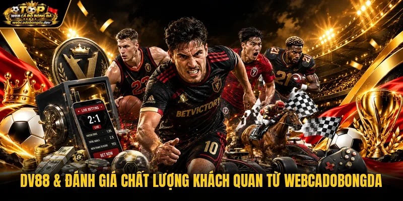 DV88 & Đánh Giá Chất Lượng Khách Quan Từ WEBCADOBONGDA