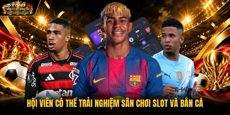 Hội viên có thể trải nghiệm sân chơi slot và bắn cá Hội viên có thể trải nghiệm sân chơi slot và bắn cá