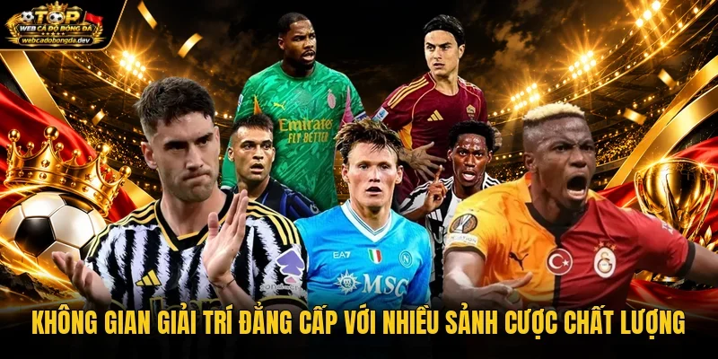 Không gian giải trí đẳng cấp với nhiều sảnh cược chất lượng Không gian giải trí đẳng cấp với nhiều sảnh cược chất lượng