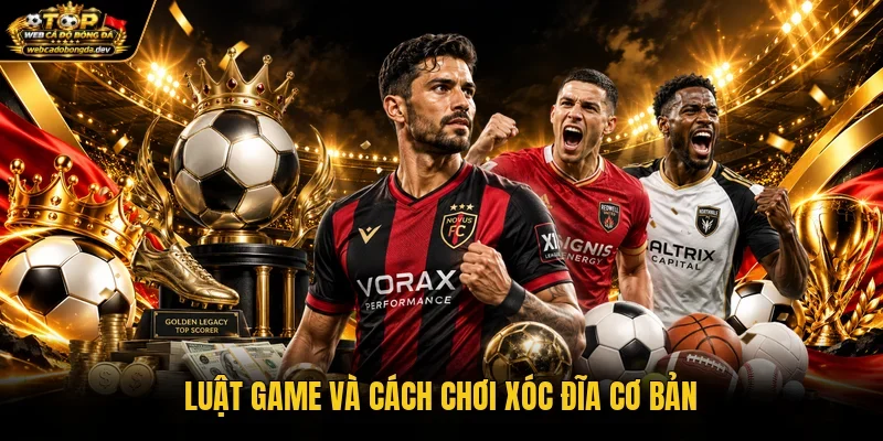 Luật game và cách chơi xóc đĩa cơ bản Luật game và cách chơi xóc đĩa cơ bản