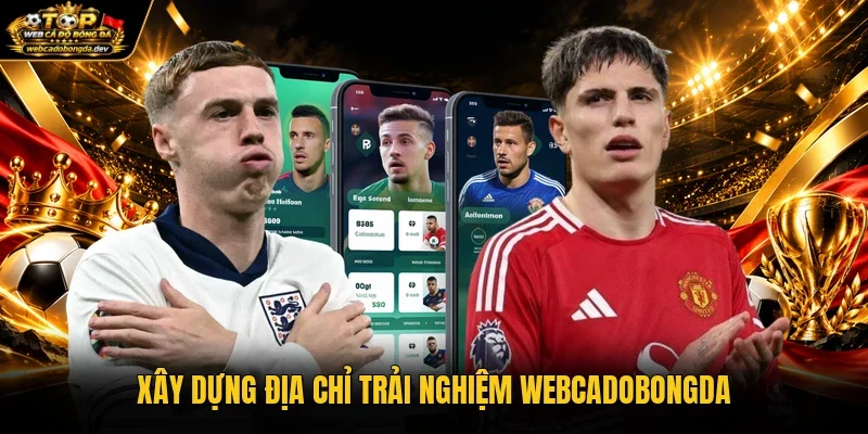 Xây dựng địa chỉ trải nghiệm WEBCADOBONGDA Xây dựng địa chỉ trải nghiệm WEBCADOBONGDA